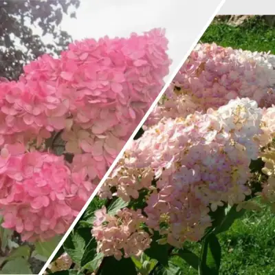 Комплект МНОГОГРАННОСТЬ в Сморгони