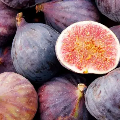 Инжир МУАССОН в Сморгони