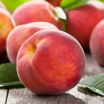 Персик МАЙСКИЙ ЦВЕТОК в Сморгони