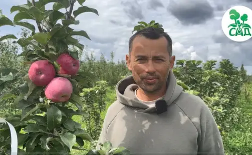 Превью видео