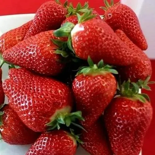 Клубника БРИЛЛА  Клубника БРИЛЛА в Сморгони