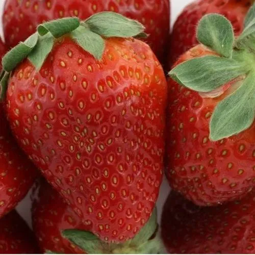 Клубника ФЛАМИНИЯ  Клубника ФЛАМИНИЯ в Сморгони