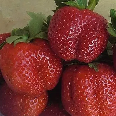 Клубника ДЕСТЕНИ в Сморгони