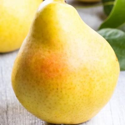 Желтая в Сморгони