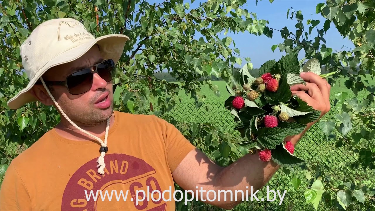 Превью видео