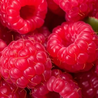 Красная в Сморгони