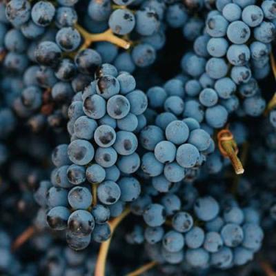 Технический в Сморгони