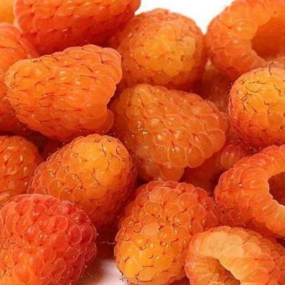 Оранжевая в Сморгони